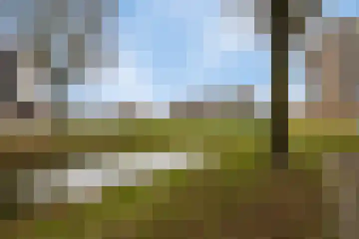 Kopenhagensingel 15 Alphen aan den Rijn thumbnail 32