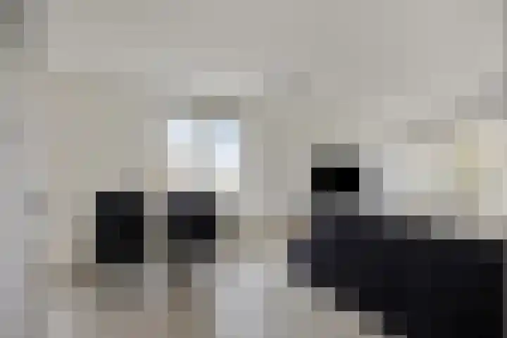 Kopenhagensingel 15 Alphen aan den Rijn thumbnail 8