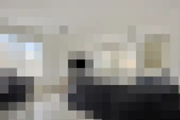 Kopenhagensingel 15 Alphen aan den Rijn thumbnail 9