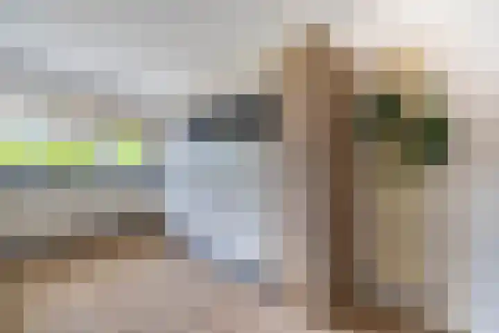 Kopenhagensingel 41 Alphen aan den Rijn thumbnail 10