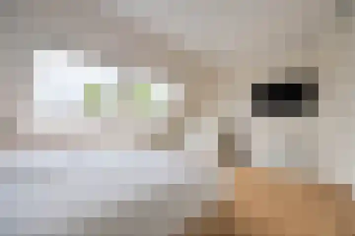Kopenhagensingel 41 Alphen aan den Rijn thumbnail 21