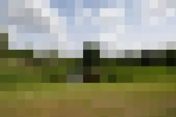 Kopenhagensingel 41 Alphen aan den Rijn thumbnail 31