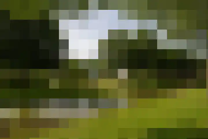 Kopenhagensingel 41 Alphen aan den Rijn thumbnail 32