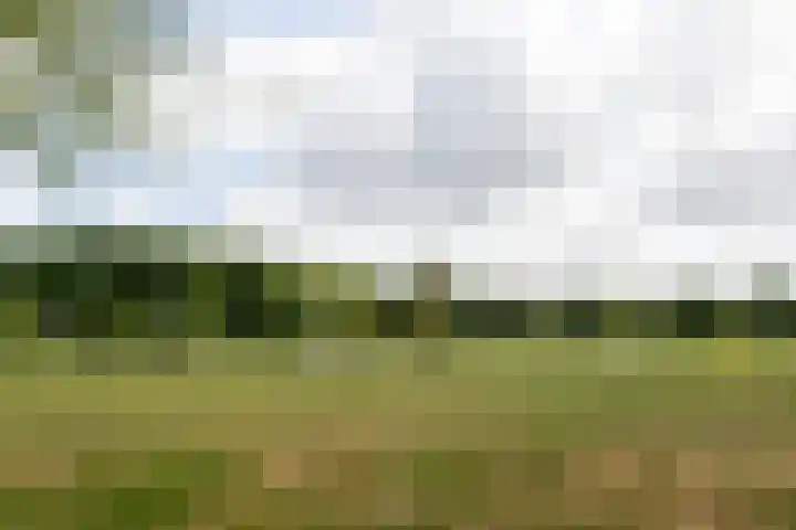 Kopenhagensingel 41 Alphen aan den Rijn thumbnail 33