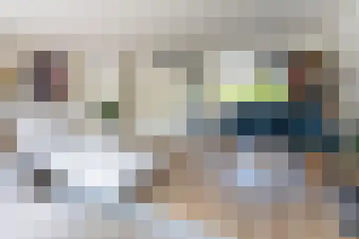 Kopenhagensingel 41 Alphen aan den Rijn thumbnail 7