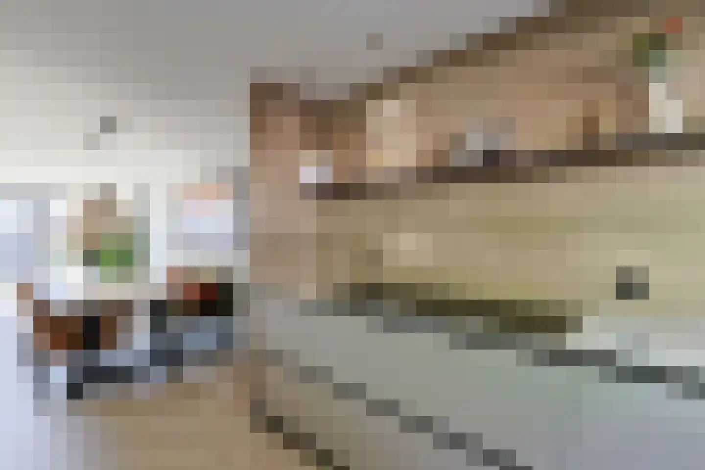 Kopenhagensingel 75 Alphen aan den Rijn thumbnail 11