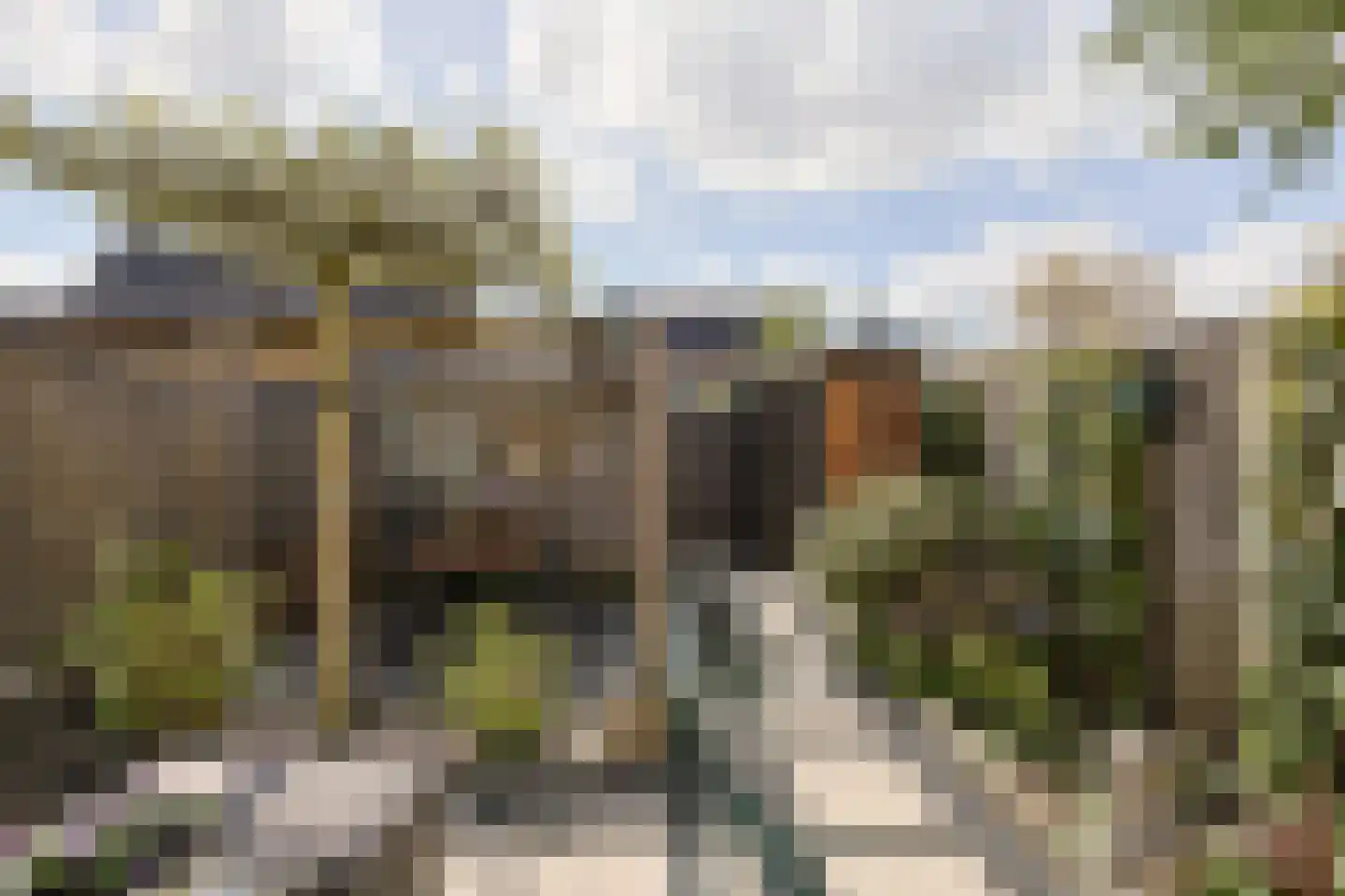 Kopenhagensingel 75 Alphen aan den Rijn thumbnail 26