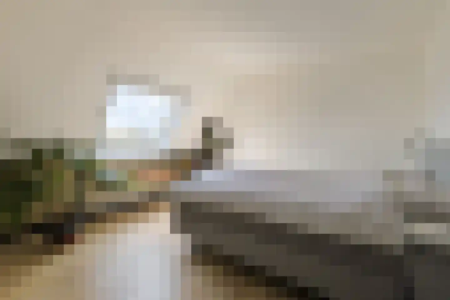 Kopenhagensingel 75 Alphen aan den Rijn thumbnail 41