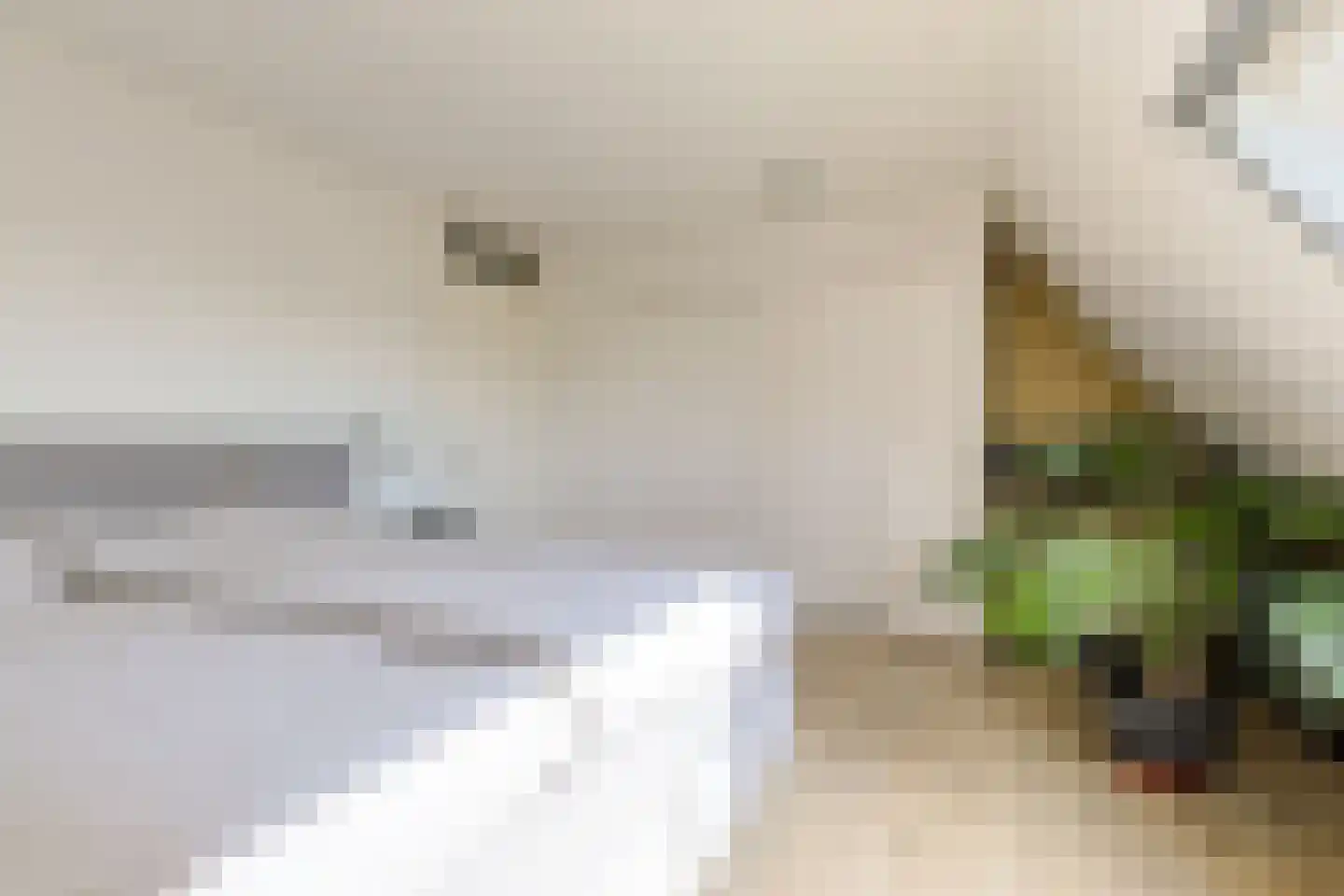 Kopenhagensingel 75 Alphen aan den Rijn thumbnail 43