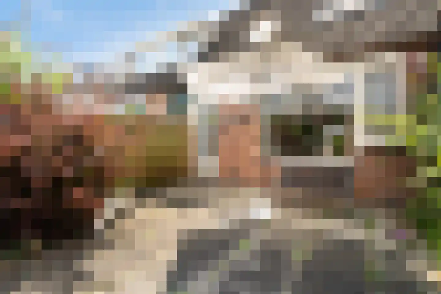 Kopenhagenstraat 24 Rotterdam thumbnail 12