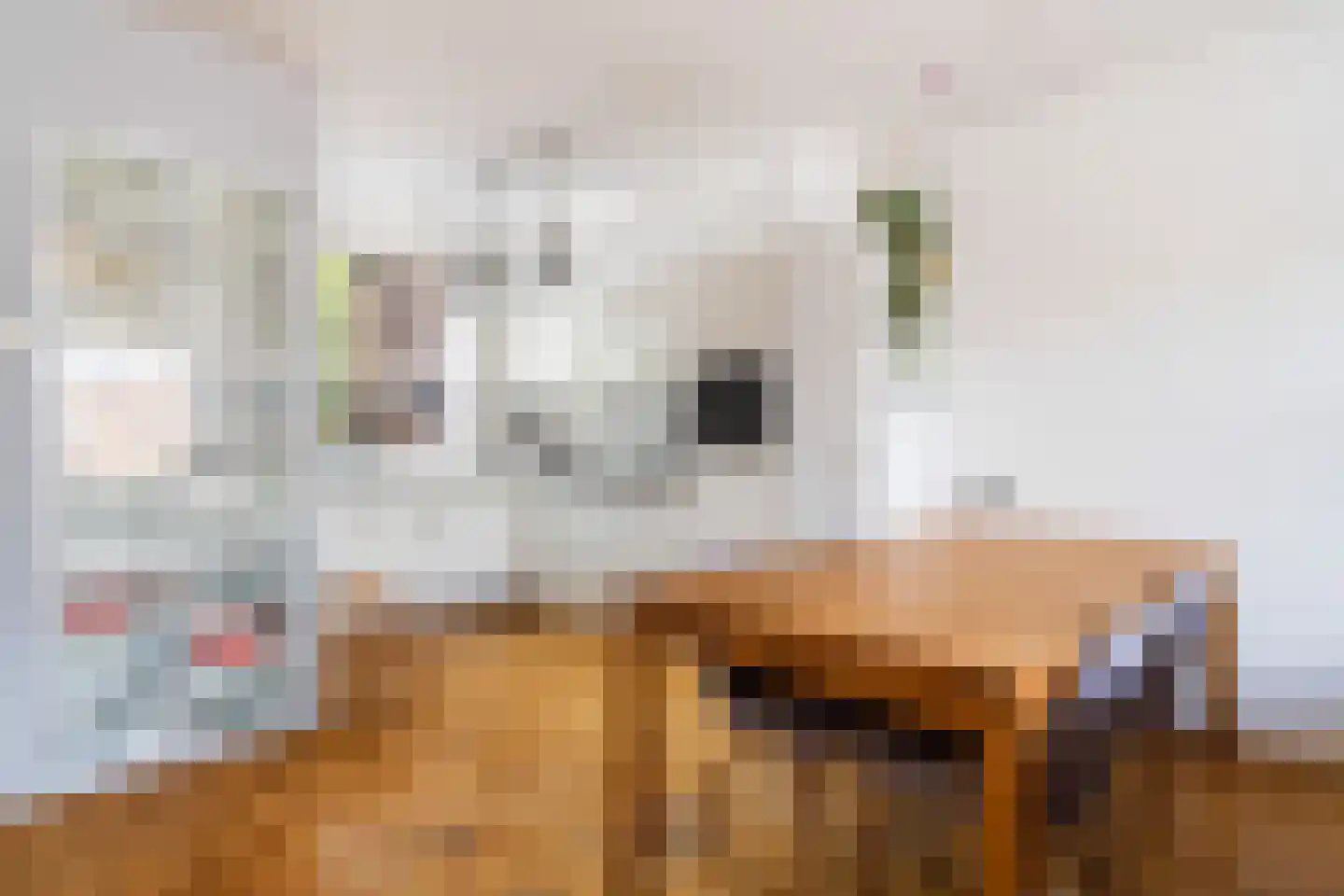 Kopenhagenstraat 24 Rotterdam thumbnail 16