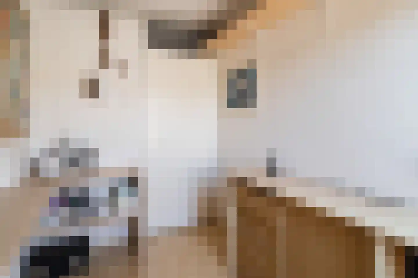 Kopenhagenstraat 24 Rotterdam thumbnail 24