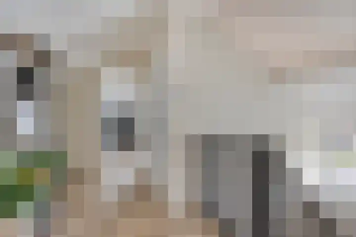 Kopenhagenstraat 38 Hengelo thumbnail 44
