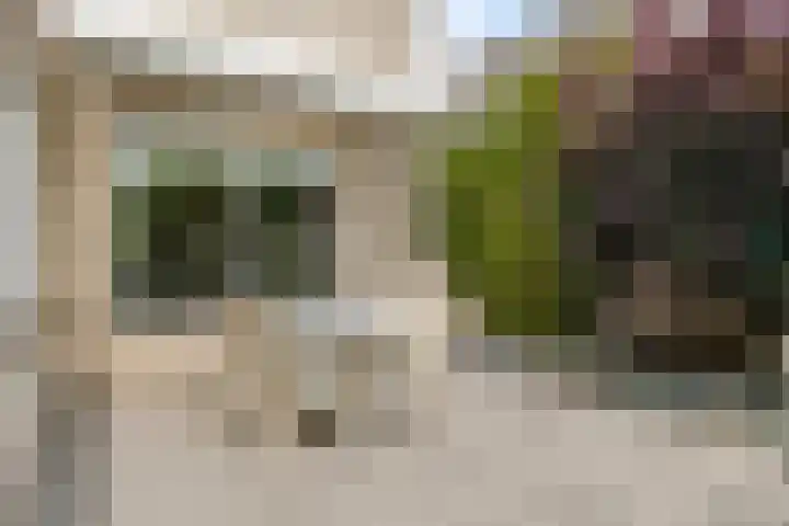 Kopenhagenstraat 64 Hengelo thumbnail 35