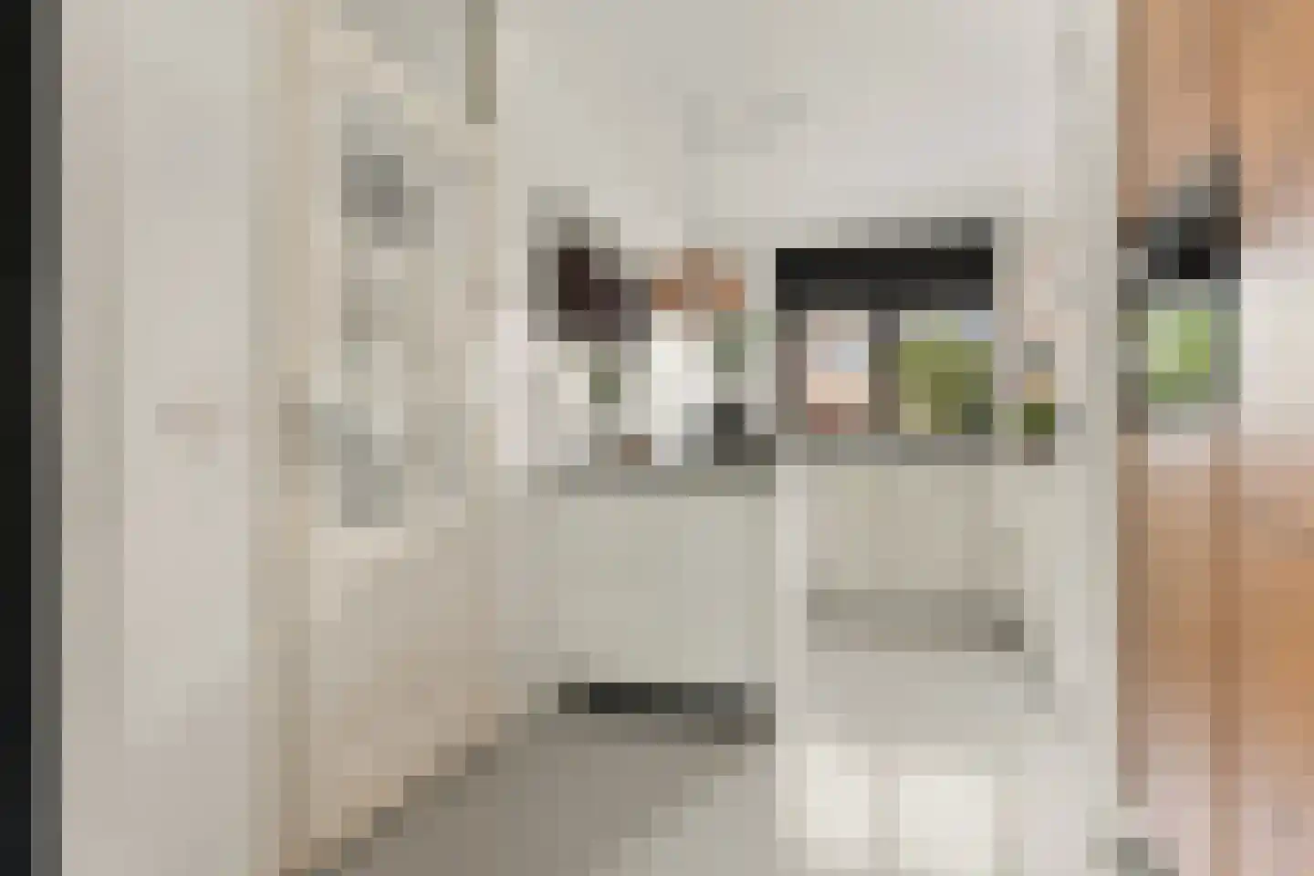 Koperdoek 2 Wormer thumbnail 14