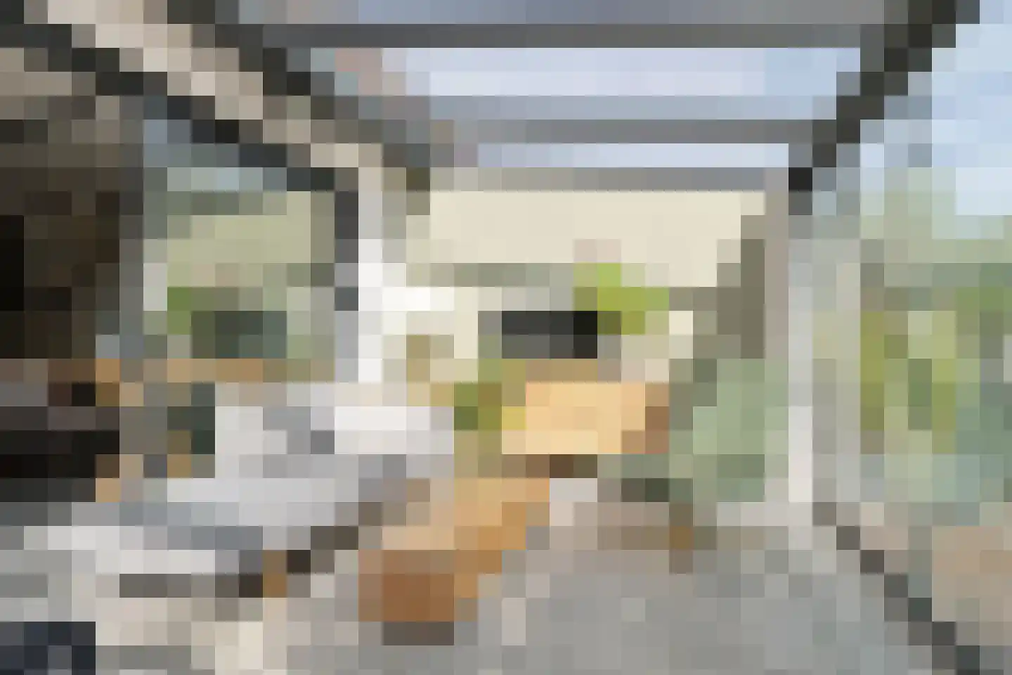 Koperdoek 2 Wormer thumbnail 18