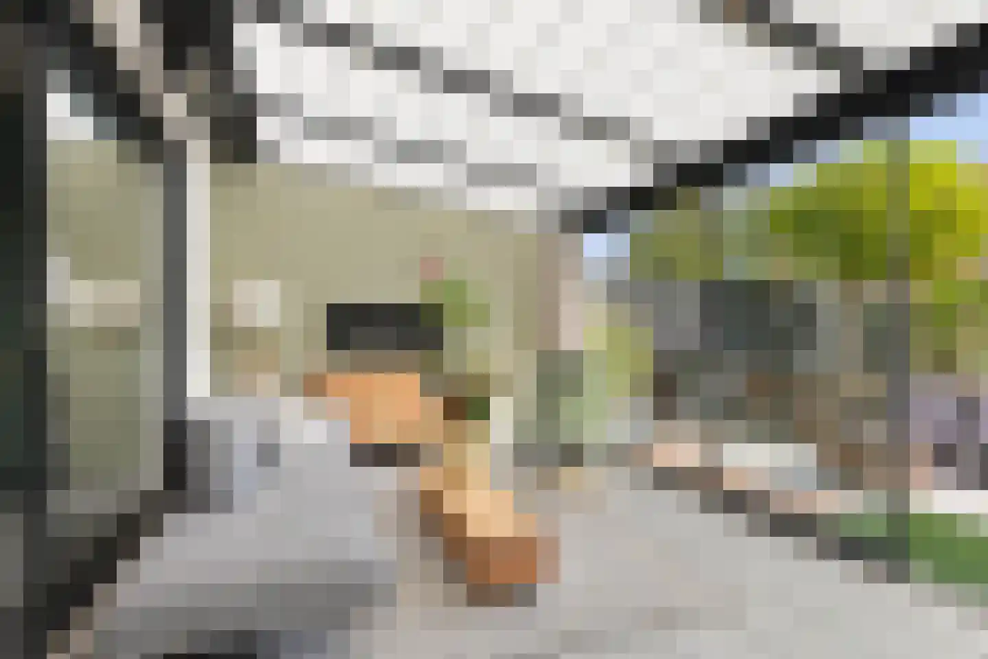 Koperdoek 2 Wormer thumbnail 19