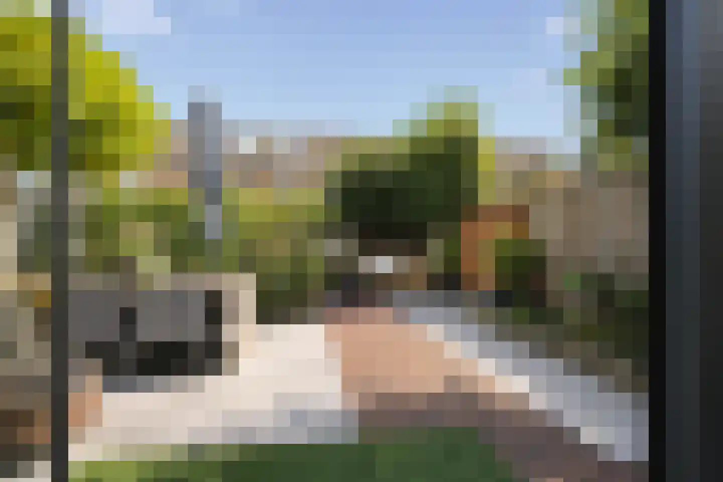 Koperdoek 2 Wormer thumbnail 22