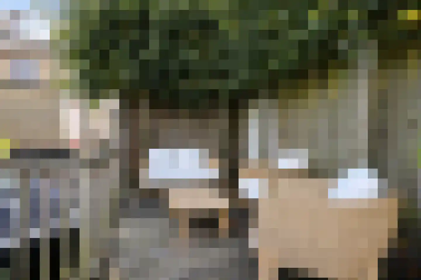 Koperdoek 2 Wormer thumbnail 26