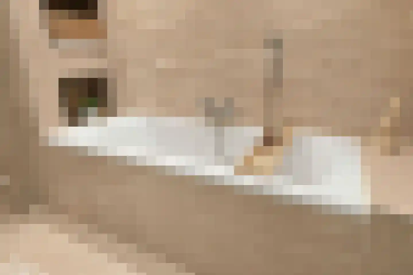 Koperdoek 2 Wormer thumbnail 37