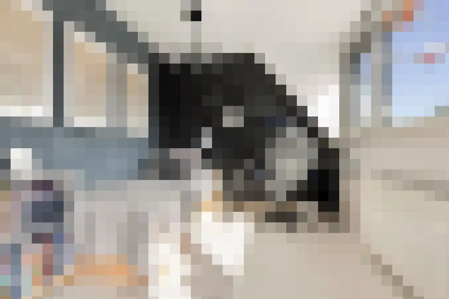 Koperdoek 2 Wormer thumbnail 41