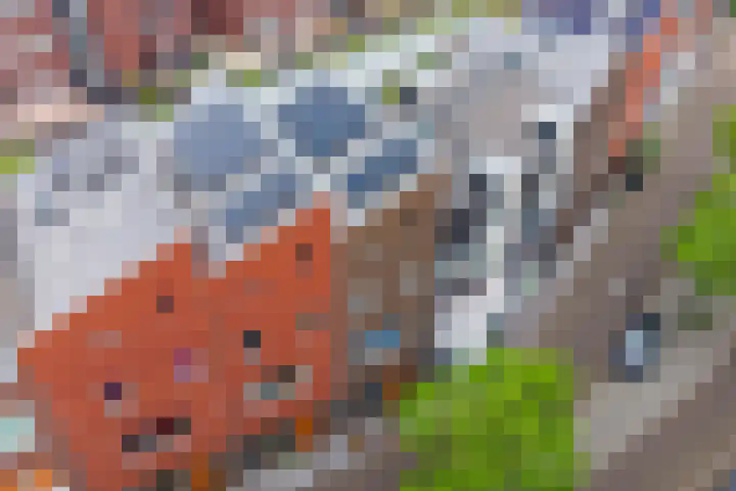 Koperen Kees 11 Doetinchem thumbnail 7