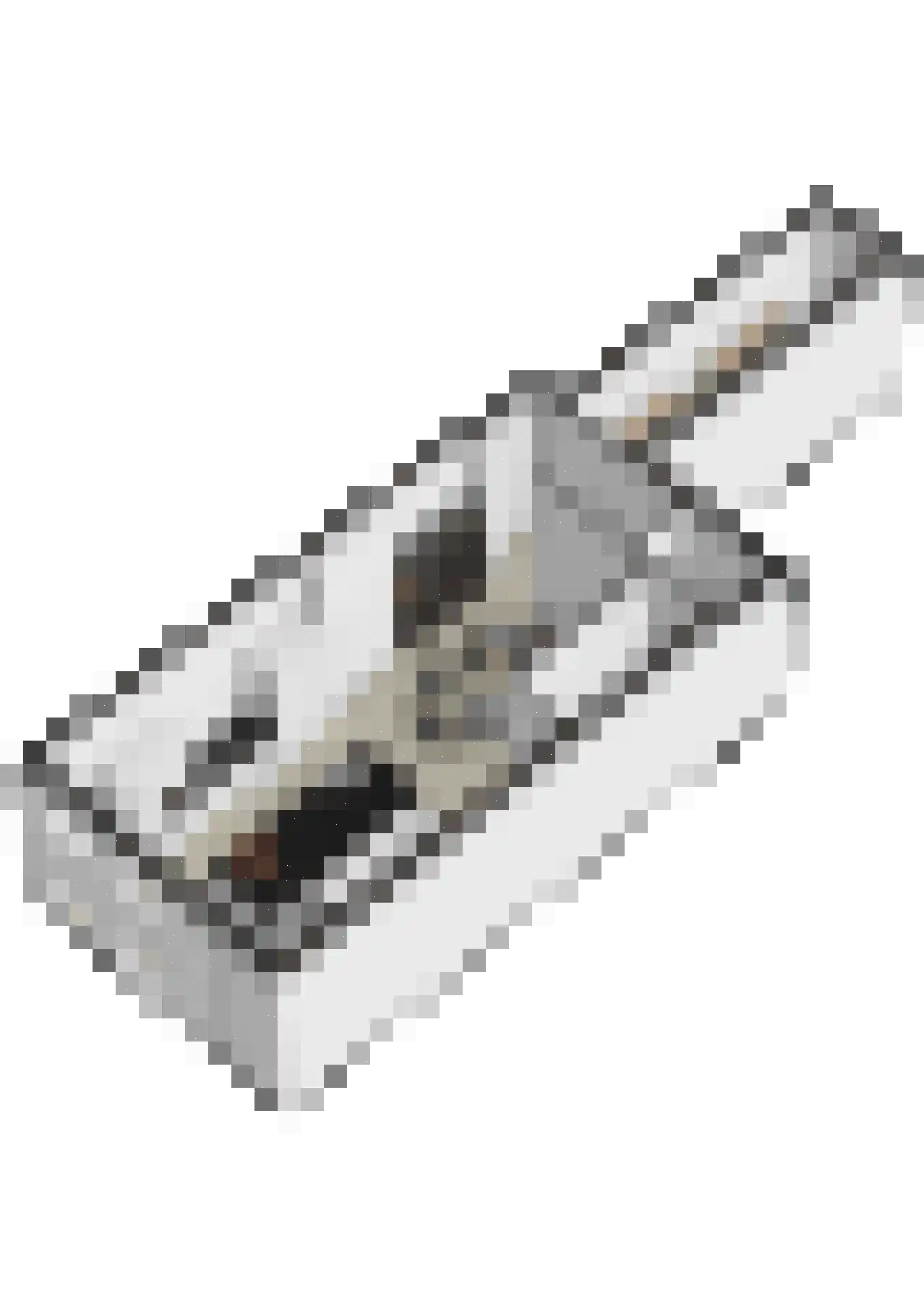 Koperen Kees 11 Doetinchem thumbnail 72