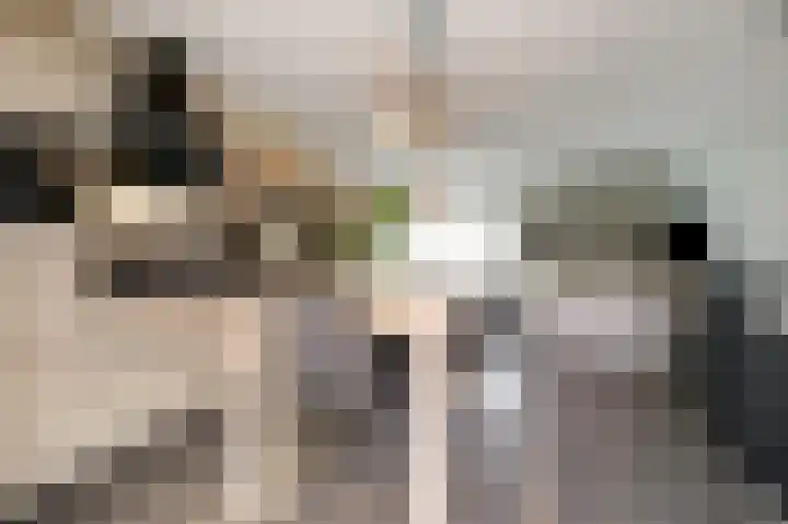Koperen Kees 31 Doetinchem thumbnail 32