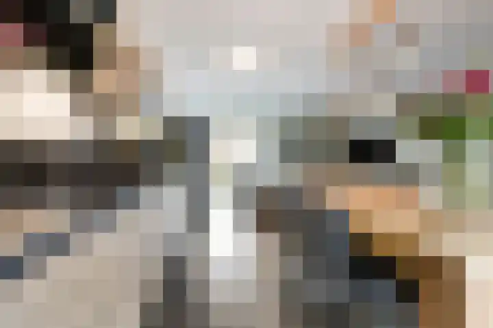 Koperen Kees 31 Doetinchem thumbnail 33