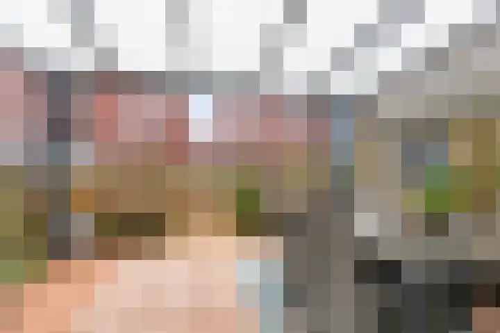 Koperen Kees 31 Doetinchem thumbnail 38