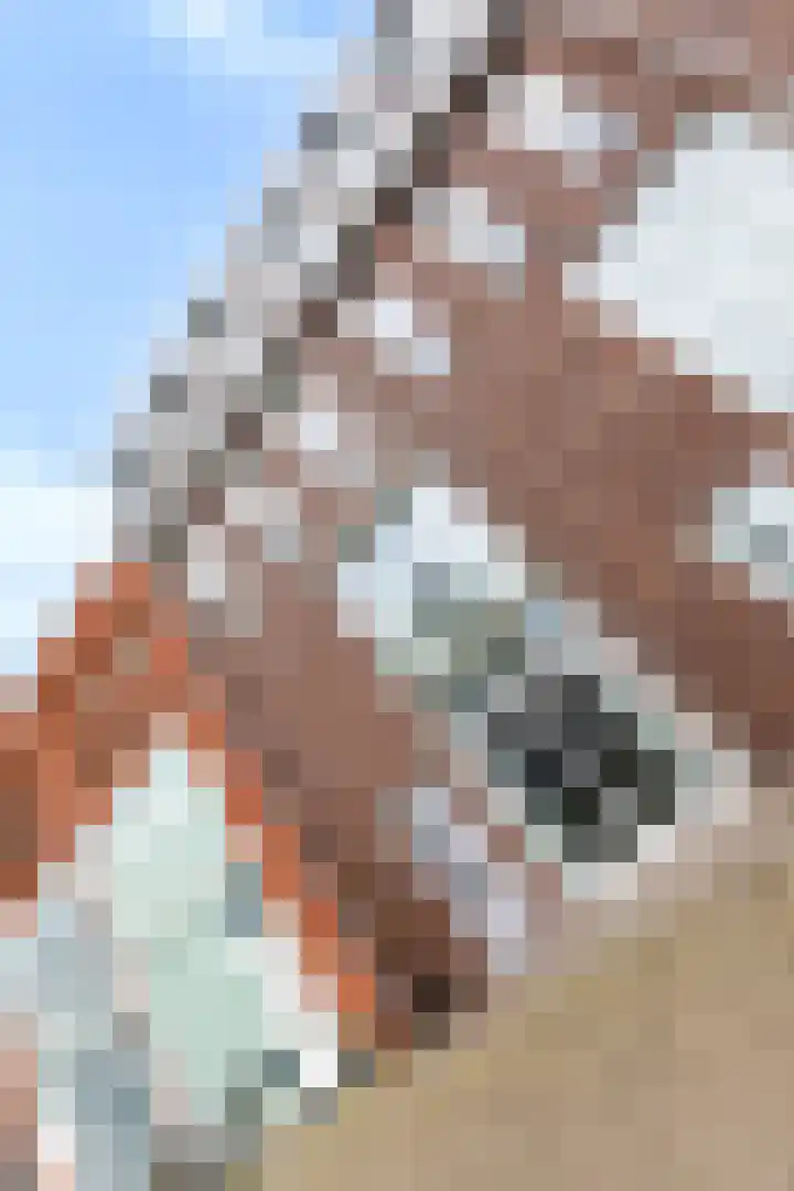 Koperen Kees 31 Doetinchem thumbnail 7
