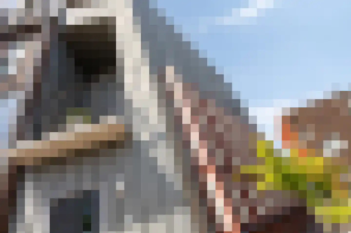 Koperen Kees 37 Doetinchem thumbnail 16