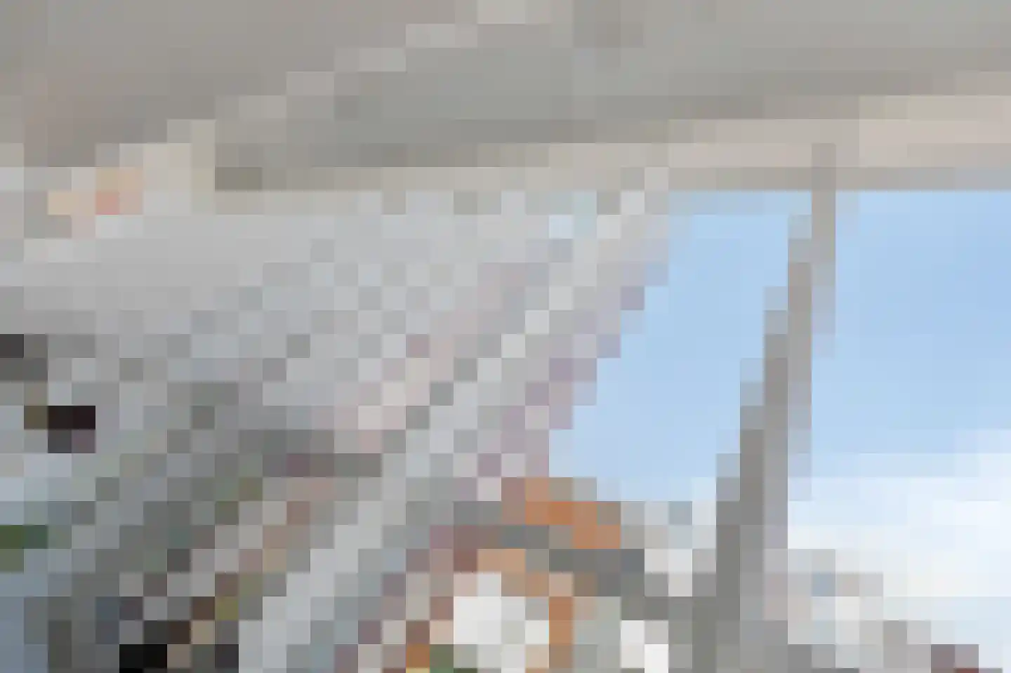 Koperen Kees 37 Doetinchem thumbnail 26