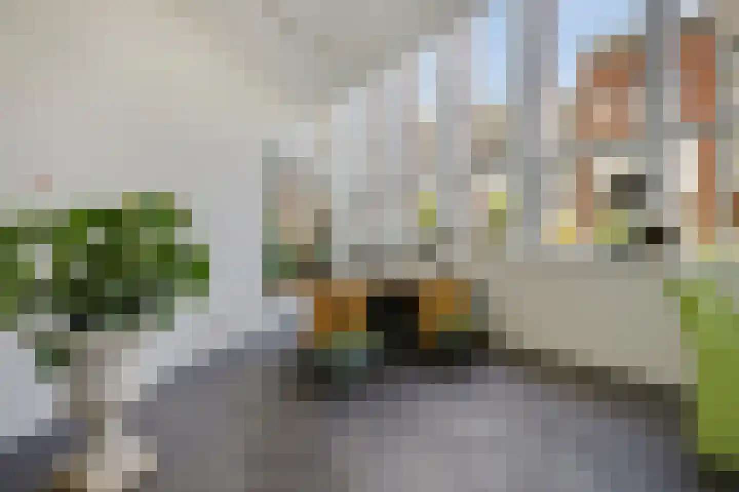 Koperen Kees 37 Doetinchem thumbnail 33