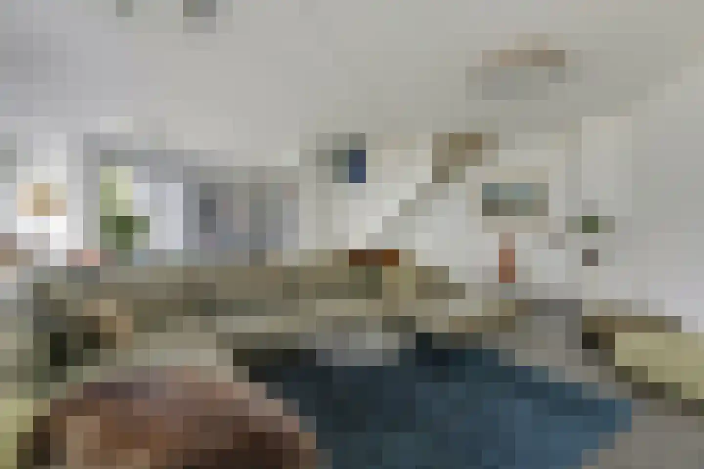 Koperen Kees 37 Doetinchem thumbnail 37