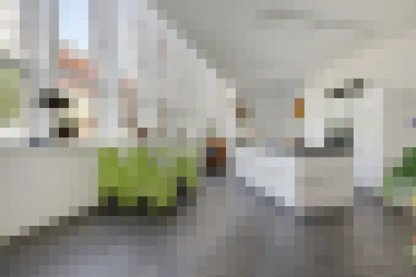 Koperen Kees 37 Doetinchem thumbnail 4