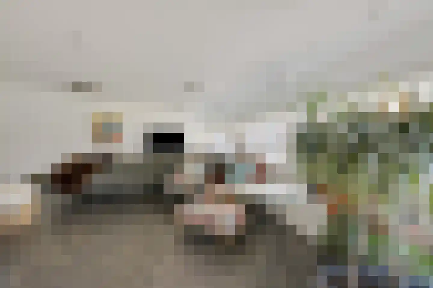 Koperen Kees 37 Doetinchem thumbnail 40