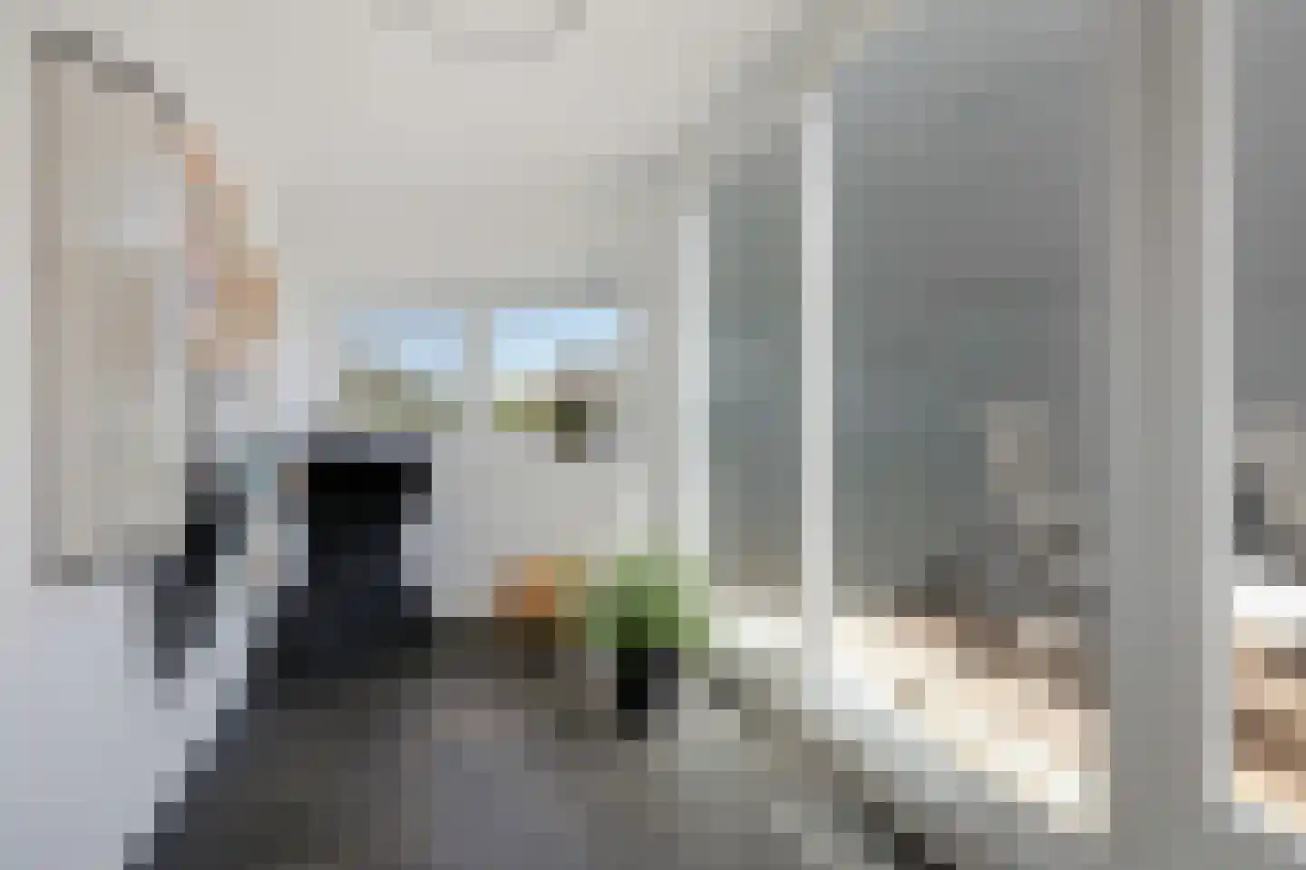 Koperen Kees 37 Doetinchem thumbnail 58