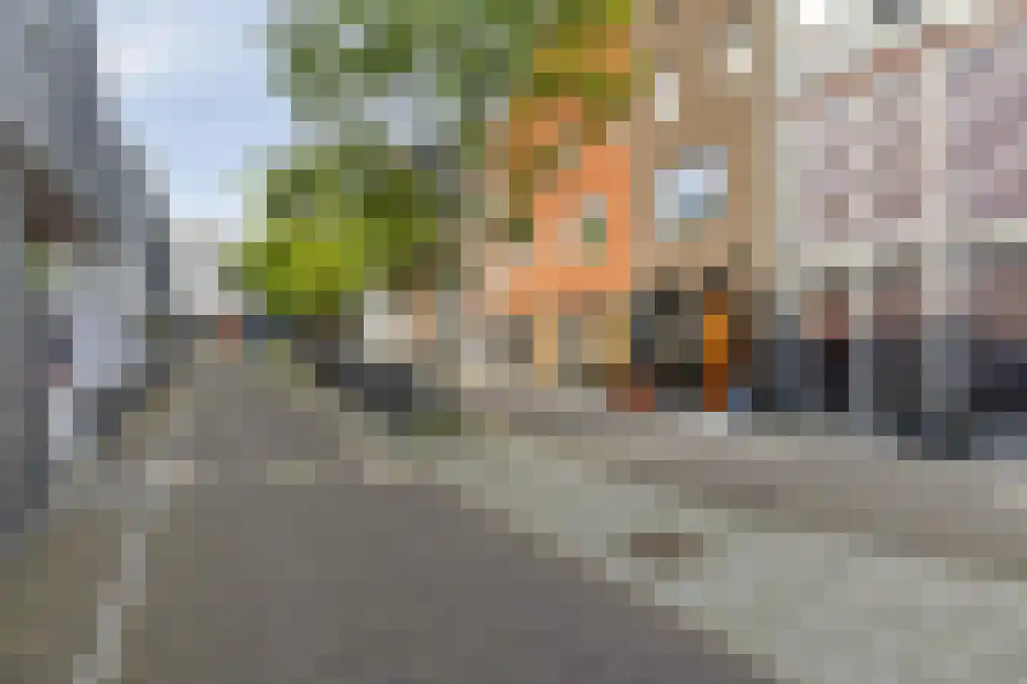 Koperen Kees 9 Doetinchem thumbnail 4
