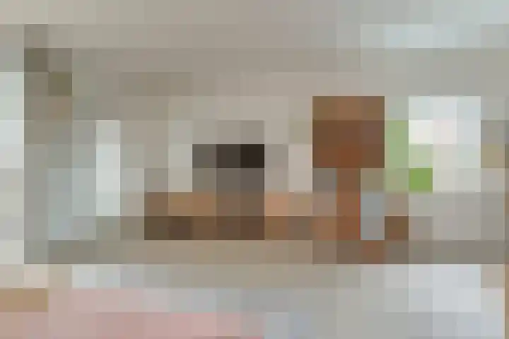 Koperfazant 15 Nieuwegein thumbnail 12