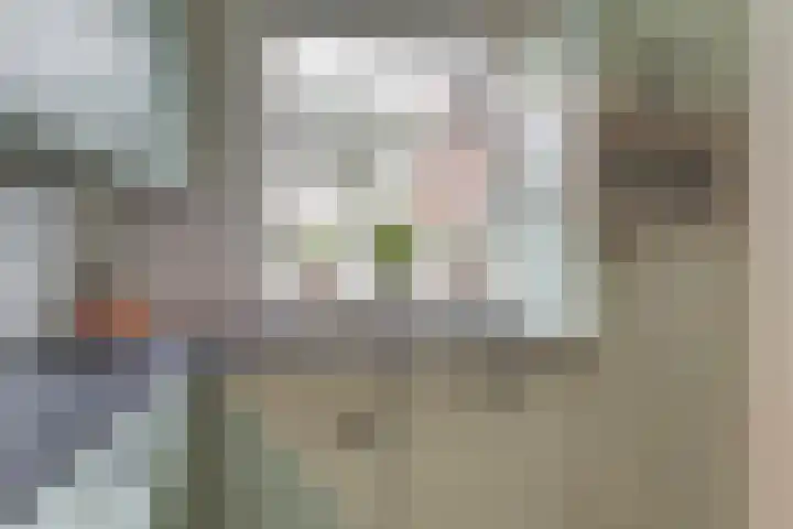 Koperfazant 15 Nieuwegein thumbnail 18
