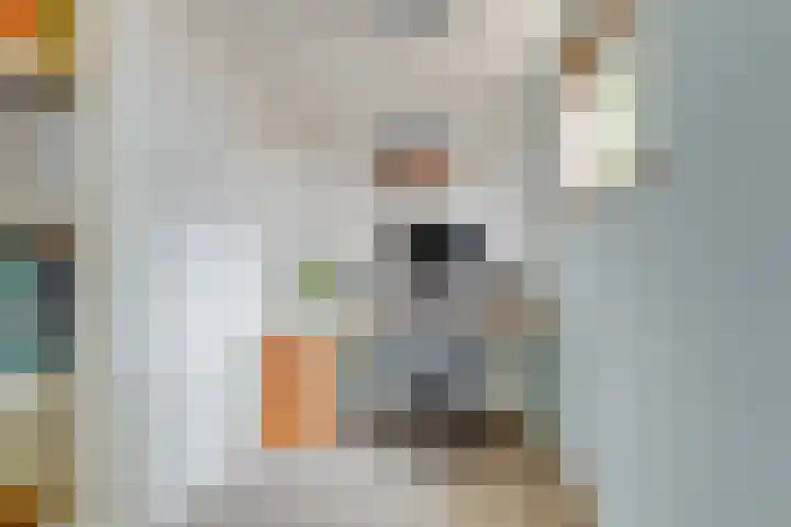 Koperfazant 15 Nieuwegein thumbnail 21