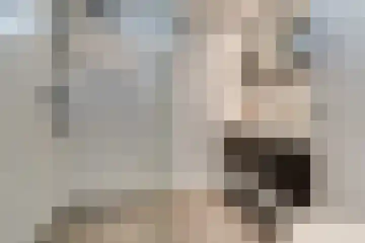 Koperfazant 15 Nieuwegein thumbnail 32