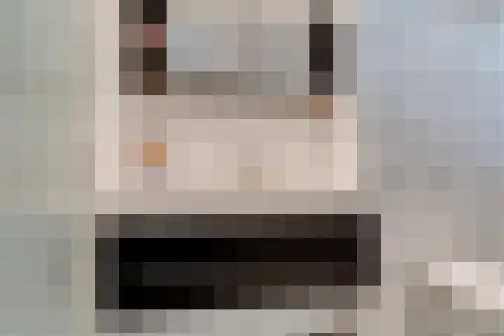 Koperfazant 15 Nieuwegein thumbnail 33