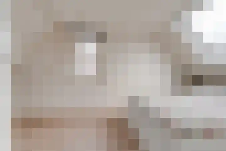 Koperfazant 15 Nieuwegein thumbnail 39