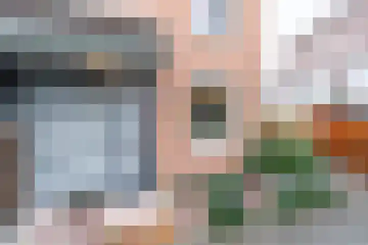 Koperfazant 15 Nieuwegein thumbnail 4