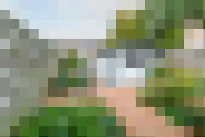 Koperfazant 15 Nieuwegein thumbnail 43