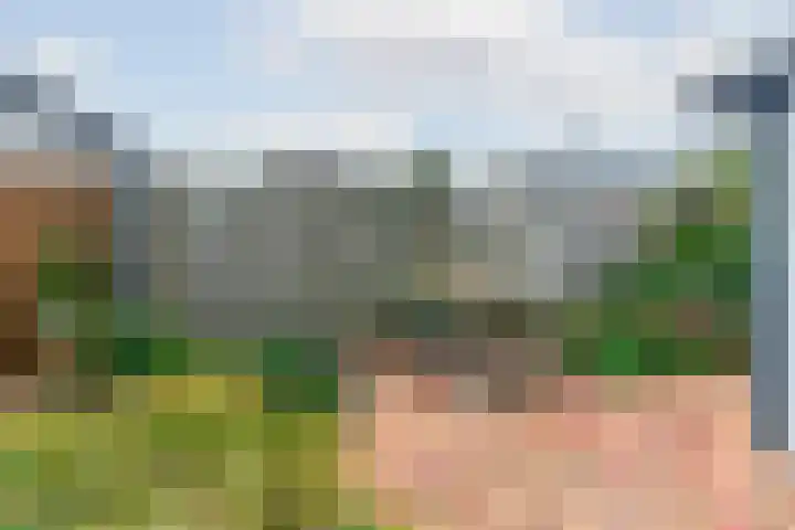 Koperfazant 15 Nieuwegein thumbnail 44