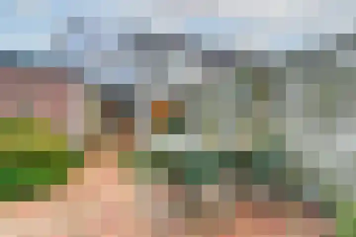 Koperfazant 15 Nieuwegein thumbnail 45