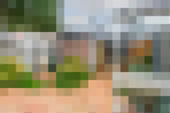 Koperfazant 15 Nieuwegein thumbnail 46